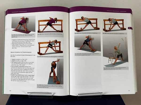 Iyengar Yoga for Menopause - Image 2