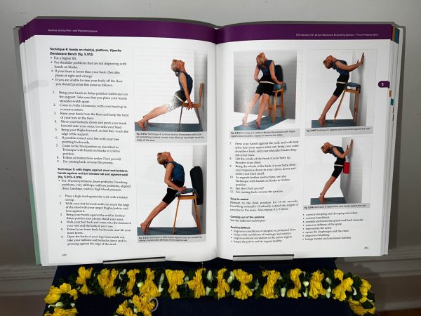 Iyengar Yoga for Menopause - Image 3