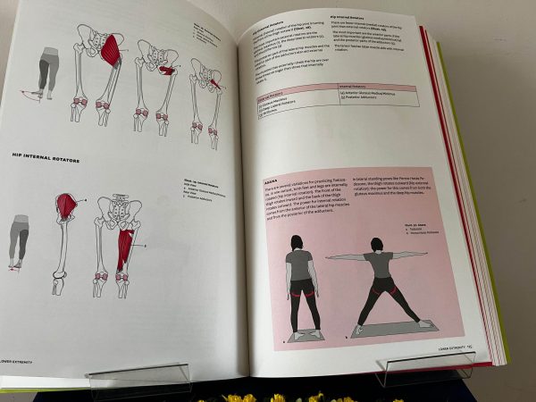 Iyengar Yoga for Menopause - Image 4