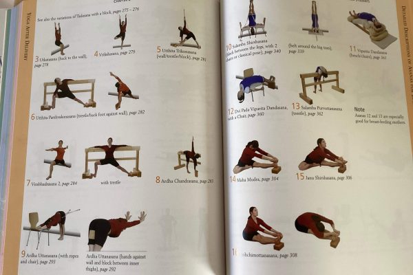 Iyengar Yoga for Motherhood - Image 2